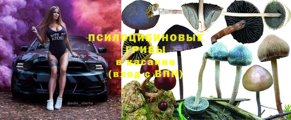 амф Абинск